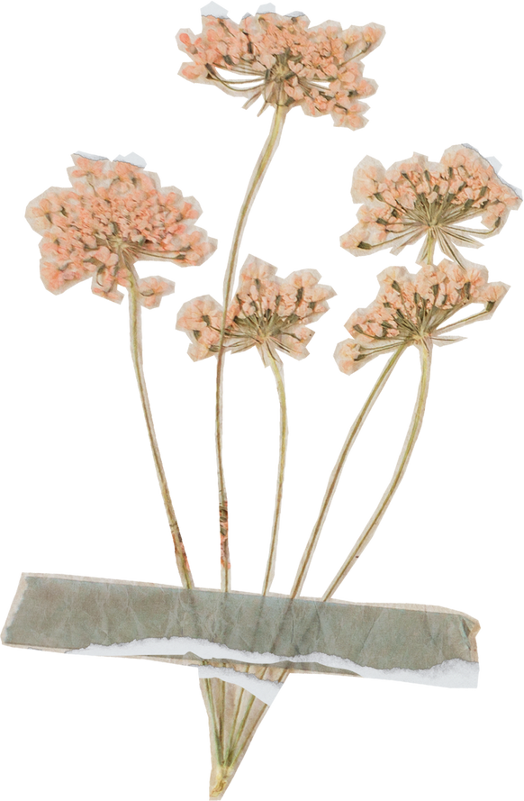 Vintage Feminine Romantic Taped Flowers Cutout